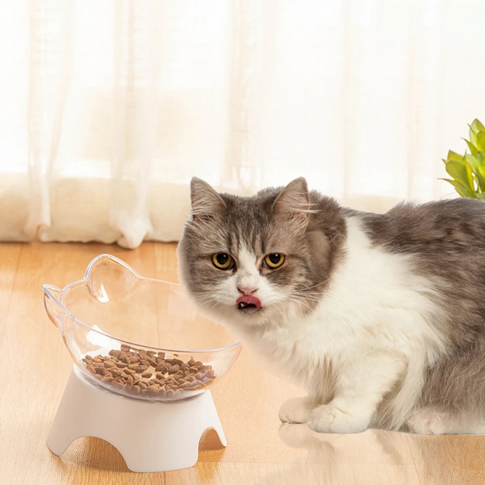 Pet Food and Water Bowl