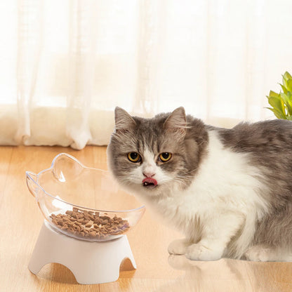 Pet Food and Water Bowl