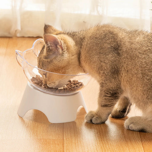 Pet Food and Water Bowl