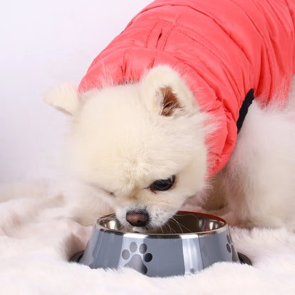 Food Bowl Feeding Pet Supplies